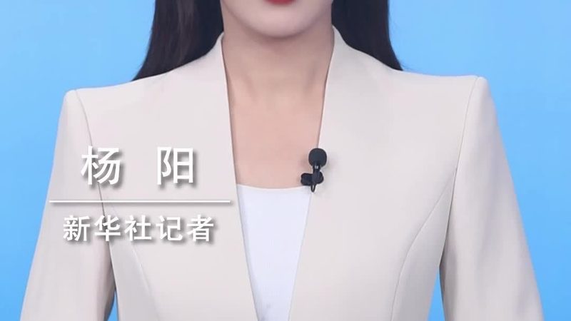 物流与供应链：两种系统的本质区别与案例分析**
